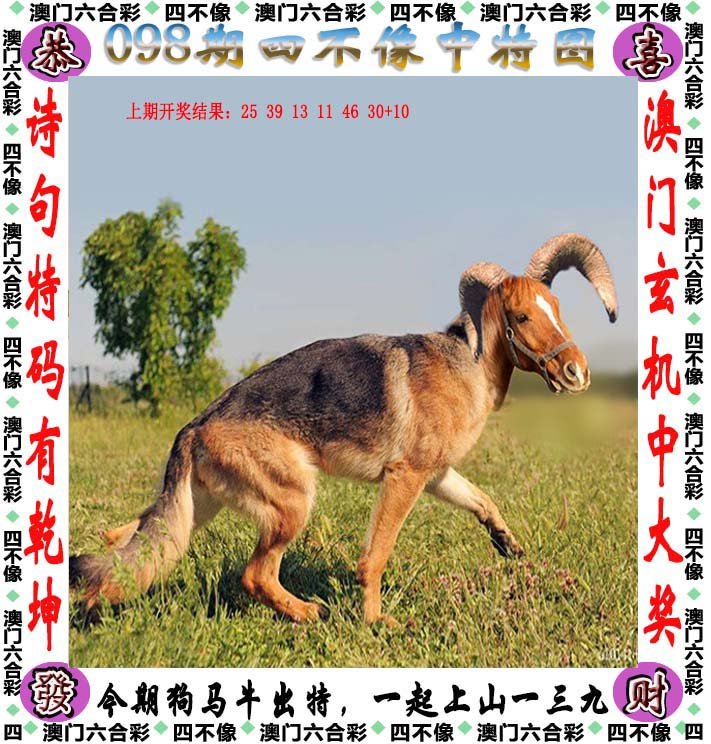 澳門今晚開特325四不像圖,高度協(xié)調(diào)實施_備用版6.378