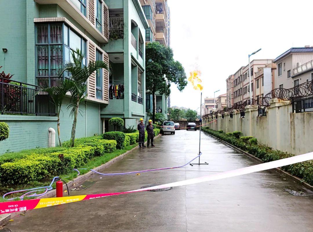 中山東鳳佛奧最新動態(tài)，自然美景的探索之旅，尋找內心平和與寧靜