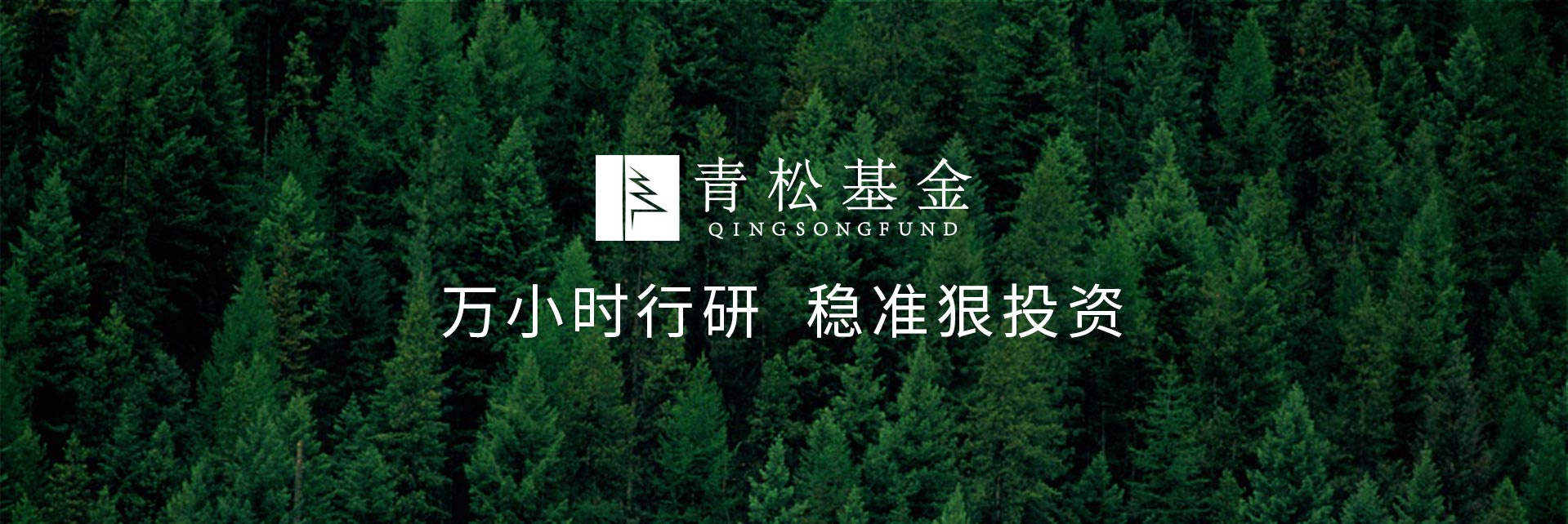 長(zhǎng)青樹(shù)眾籌最新動(dòng)態(tài)，背景、發(fā)展與時(shí)代地位探索