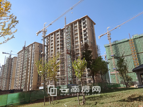 LED光源 第235頁