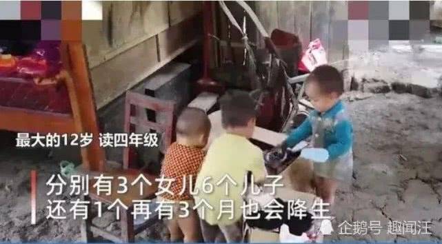 廣西最新預(yù)情，自然美景探索之旅，喚醒內(nèi)心平靜之旅