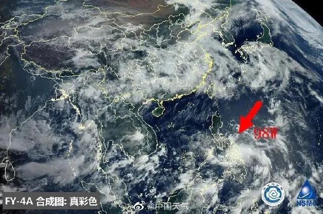 臺(tái)風(fēng)鸚鵡的最新動(dòng)態(tài)，逆風(fēng)翱翔的力量與學(xué)習(xí)魅力