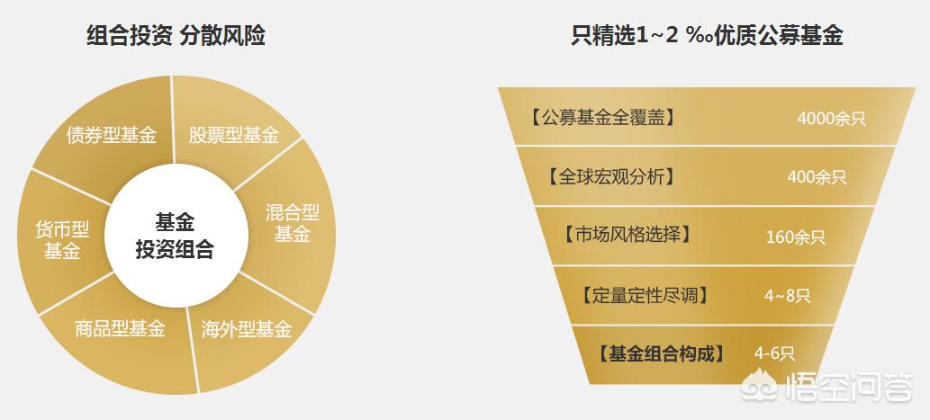 深度解析，今年養(yǎng)雞產(chǎn)業(yè)趨勢與前景展望