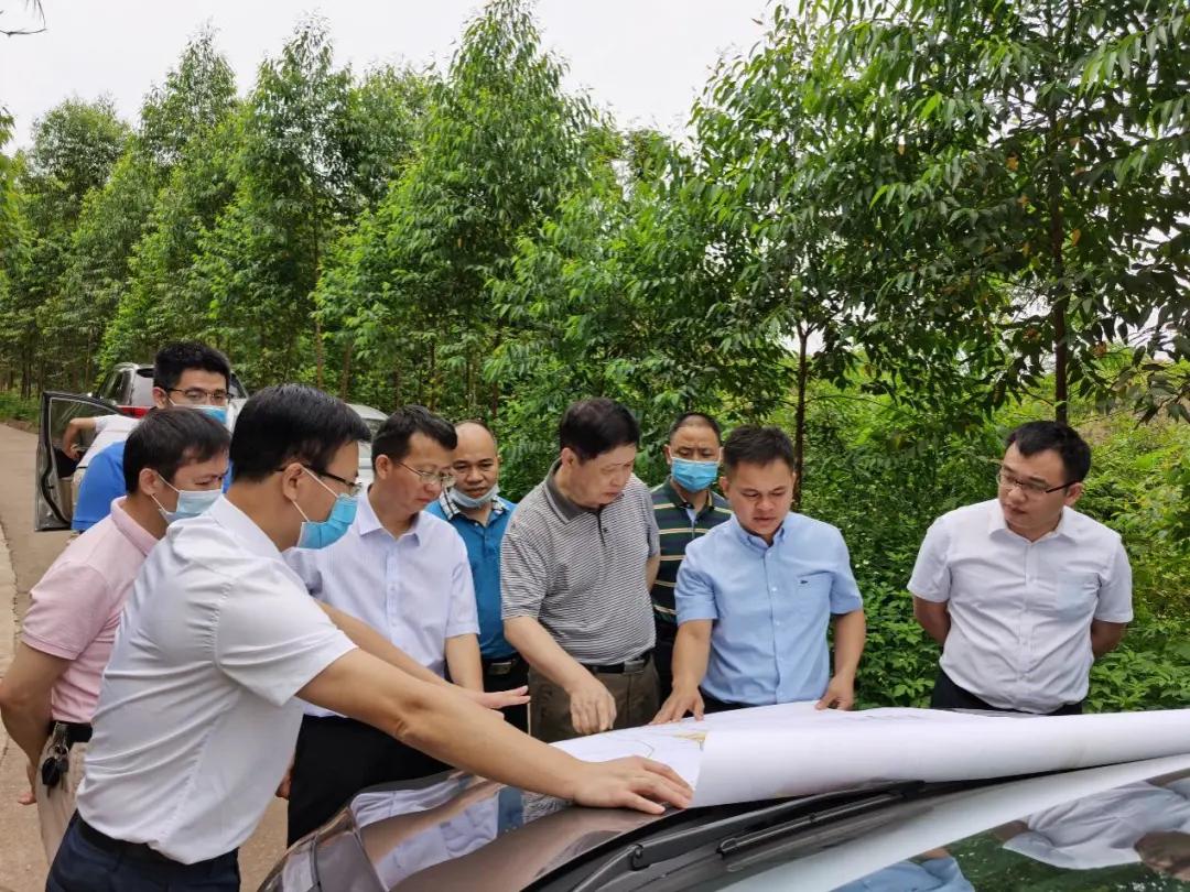 南寧龍象谷最新資訊，游玩指南與技能學(xué)習(xí)步驟全解析