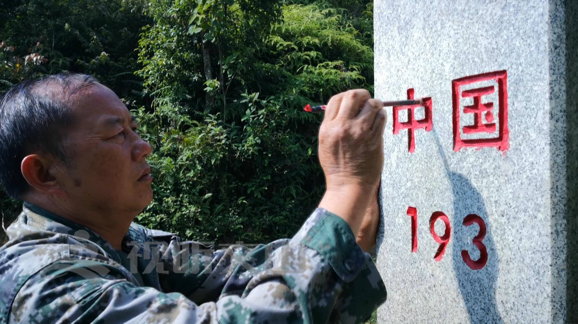 文山黃牛打架比賽，傳統(tǒng)與爭(zhēng)議的碰撞