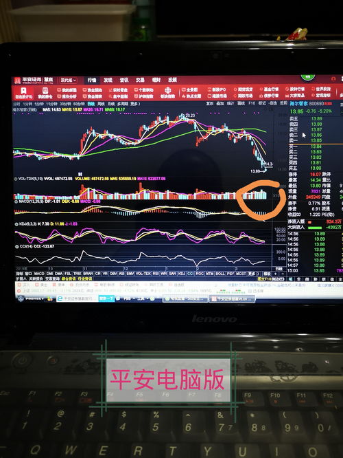 股票電腦版，開啟溫馨的股市之旅