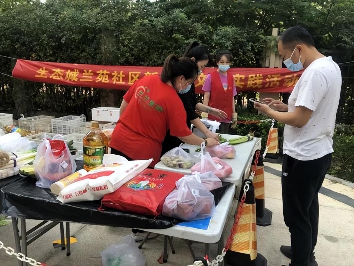 保利華潤紫云價格深度解析，探尋背后的故事與地位影響