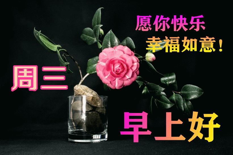 最新早晨問候動態(tài)表情包，溫馨問候，從表情開始！
