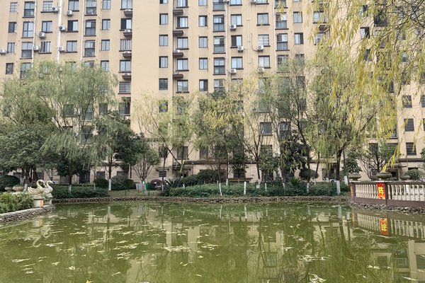 中豪明珠城最新價(jià)格，時(shí)代印記與城市的脈動(dòng)