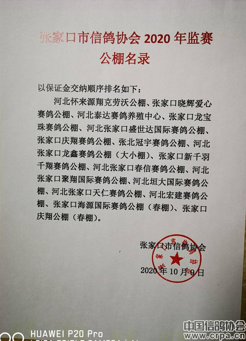 東光信鴿協會最新通告，小巷深處的獨特風味揭秘與信鴿活動更新通知