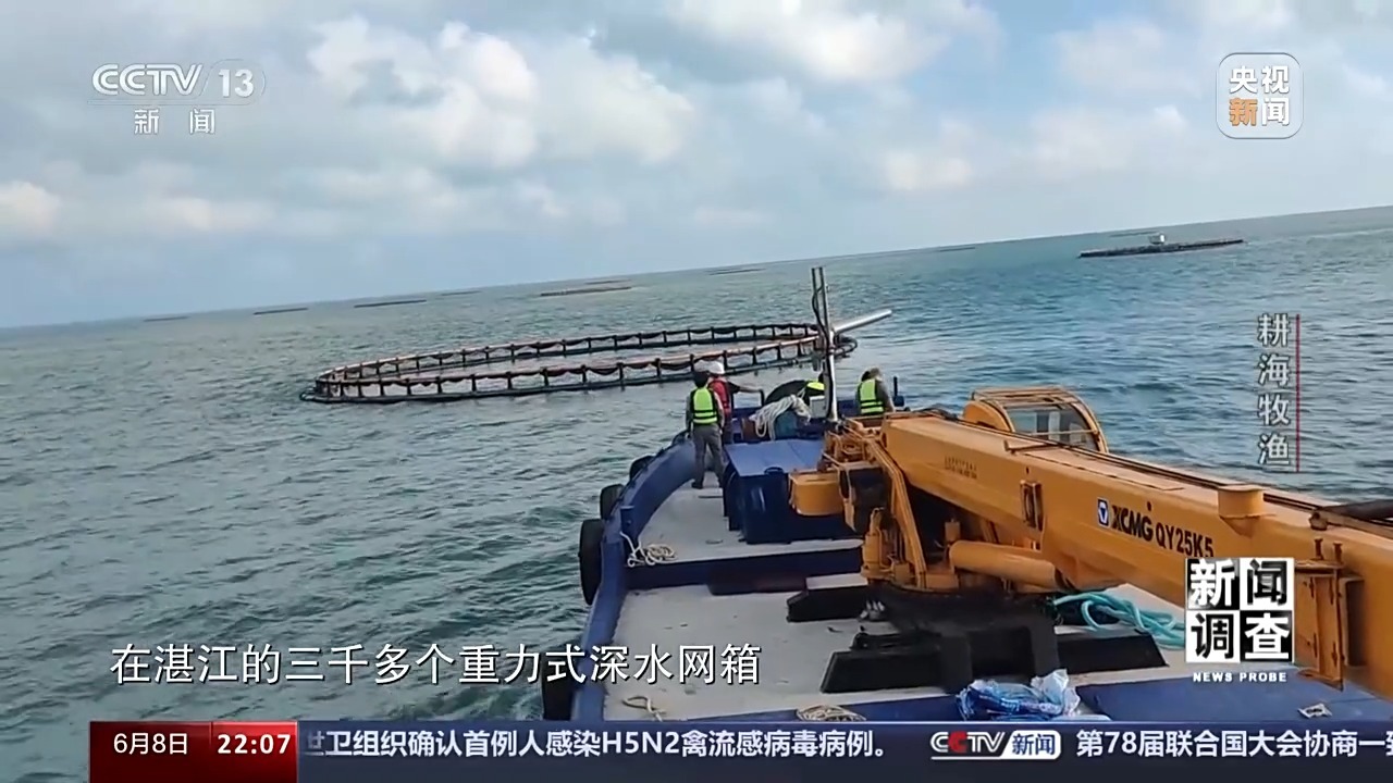 最新海水養(yǎng)殖,最新海水養(yǎng)殖，一種前沿農(nóng)業(yè)技術的觀點分析