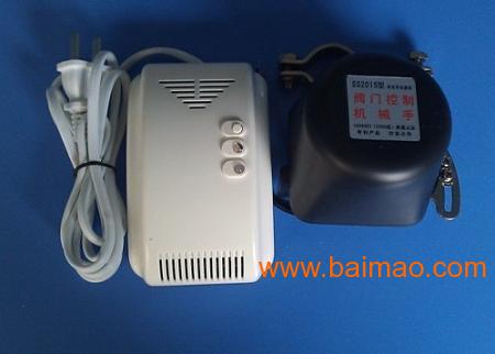 燃?xì)鈭?bào)警器價(jià)格深度探索，小巷獨(dú)特小店里的燃?xì)鈭?bào)警器價(jià)格揭秘！