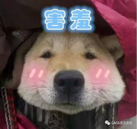 最新狗狗動(dòng)畫(huà)大盤點(diǎn)