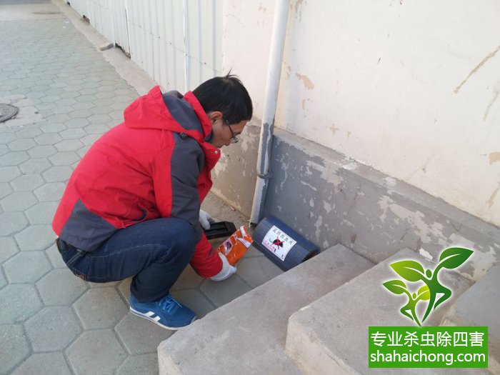 最新滅鼠技術(shù)的觀點論述與立場闡述，創(chuàng)新方法的探索與挑戰(zhàn)