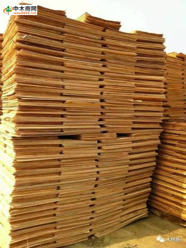科技革新引領板皮廠行情，開啟板材加工新時代