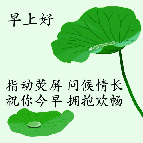 最新疫情動態(tài)下的自然探索之旅，追尋內(nèi)心的平和與寧靜