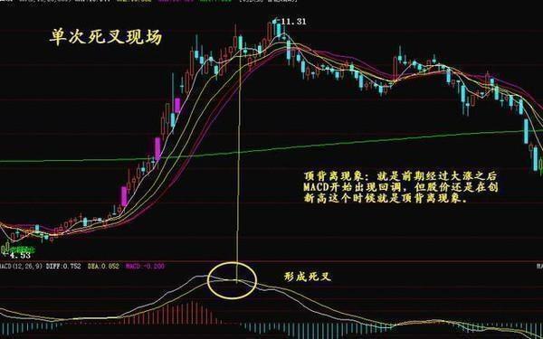 科技前沿與股票新紀(jì)元，最新高科技產(chǎn)品體驗(yàn)介紹與股票解析
