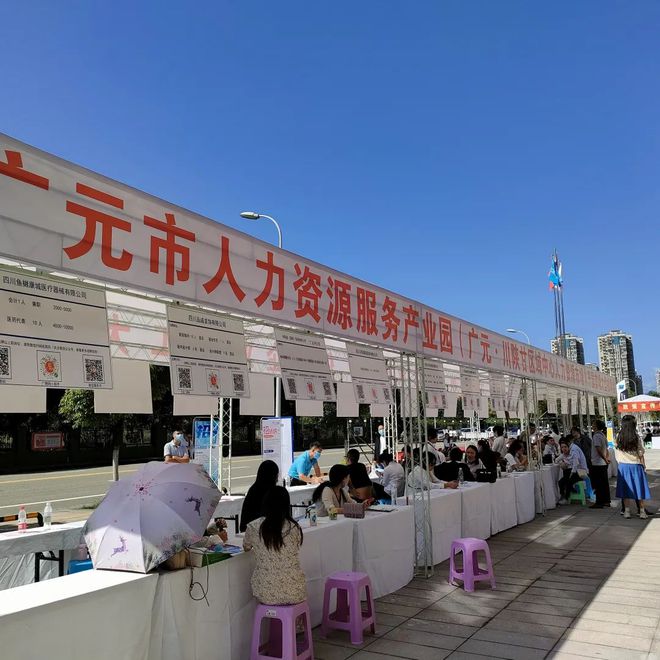 廣元最新招聘資訊詳解，觀點(diǎn)闡述與解析