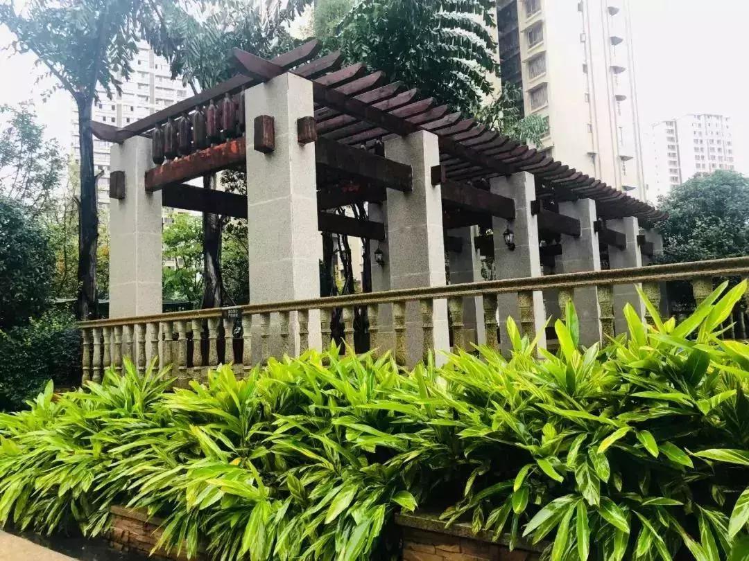 陽光江山金岸最新動態(tài)揭秘，全面指南與步驟詳解