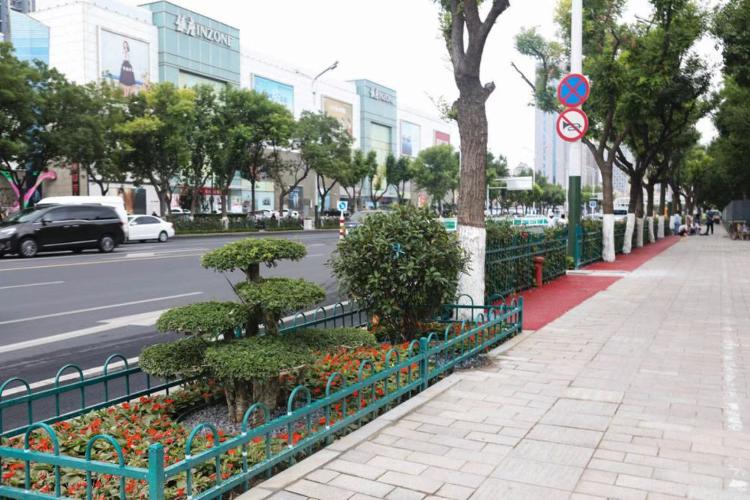 濰坊市奎文區(qū)改造工程，自然美景的探索之旅