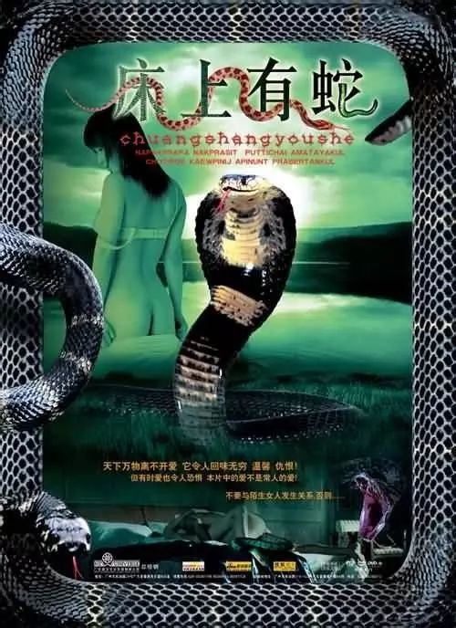 最新蛇片，蛻變的旅程，召喚自信與成就感的冒險之旅