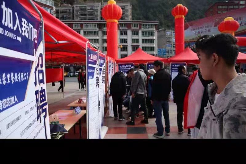 青白江招聘信息探索，小巷中的職業(yè)機(jī)遇