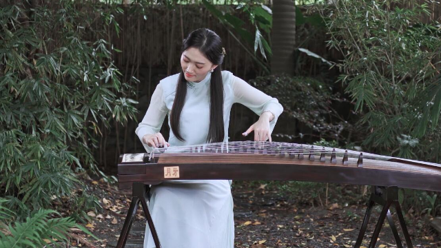 抖音最新琵琶演奏，古典與現(xiàn)代的完美融合之美