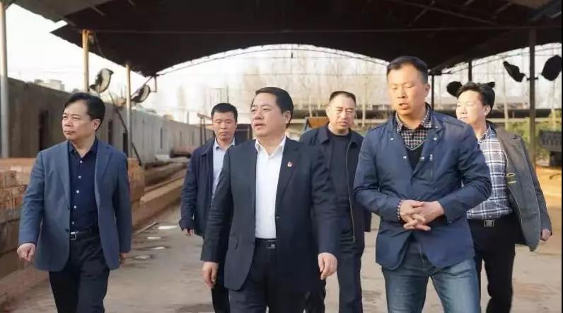 商丘王仲田最新動態(tài)，探索自然美景的旅行，尋求內(nèi)心平和之旅