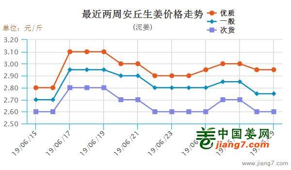 安丘大姜最新行情，機(jī)遇與自我超越的探尋之旅