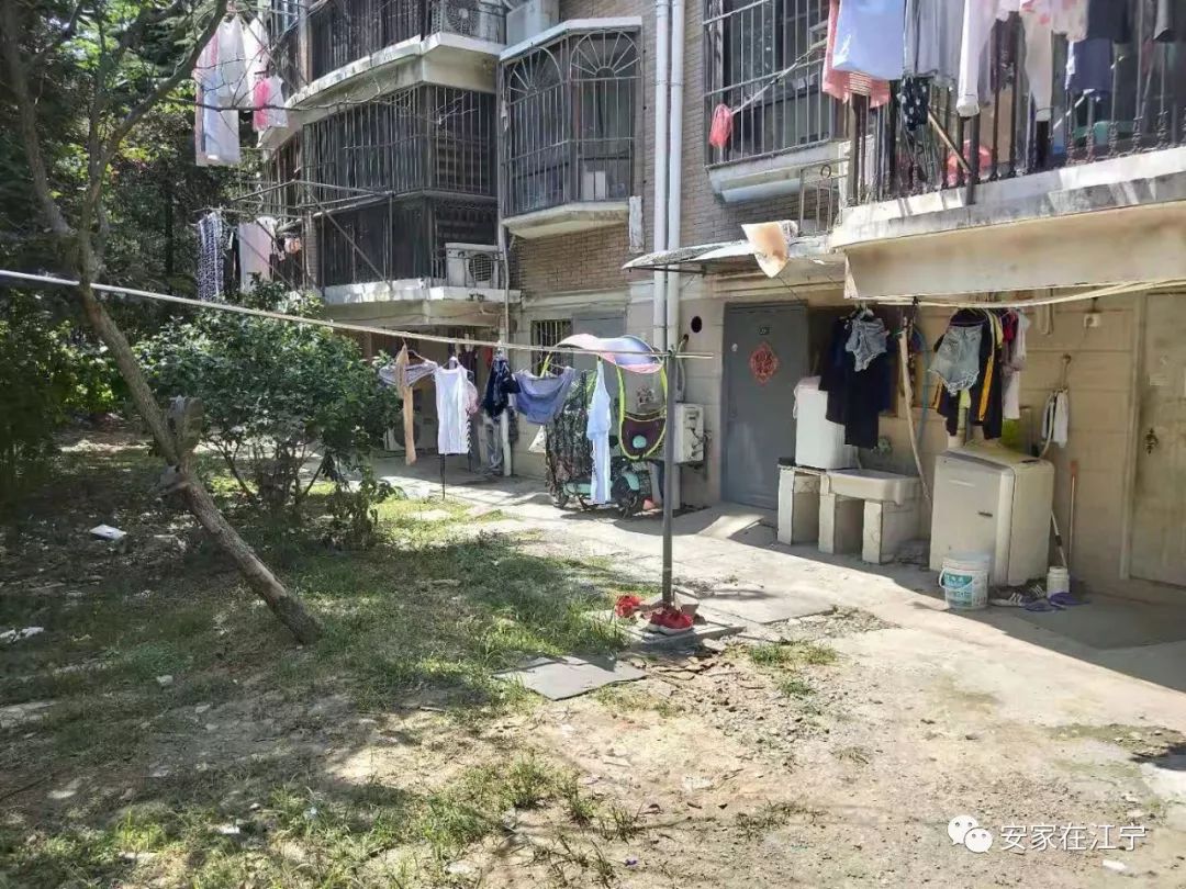 最新大雜亂時(shí)代，混沌與秩序的重建之路