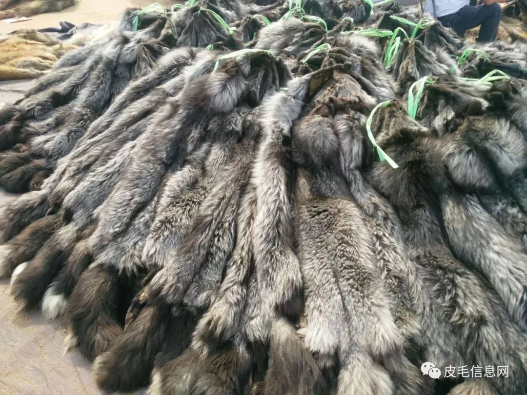 貉皮尚村最新價格，小巷中的時尚皮草寶藏探索