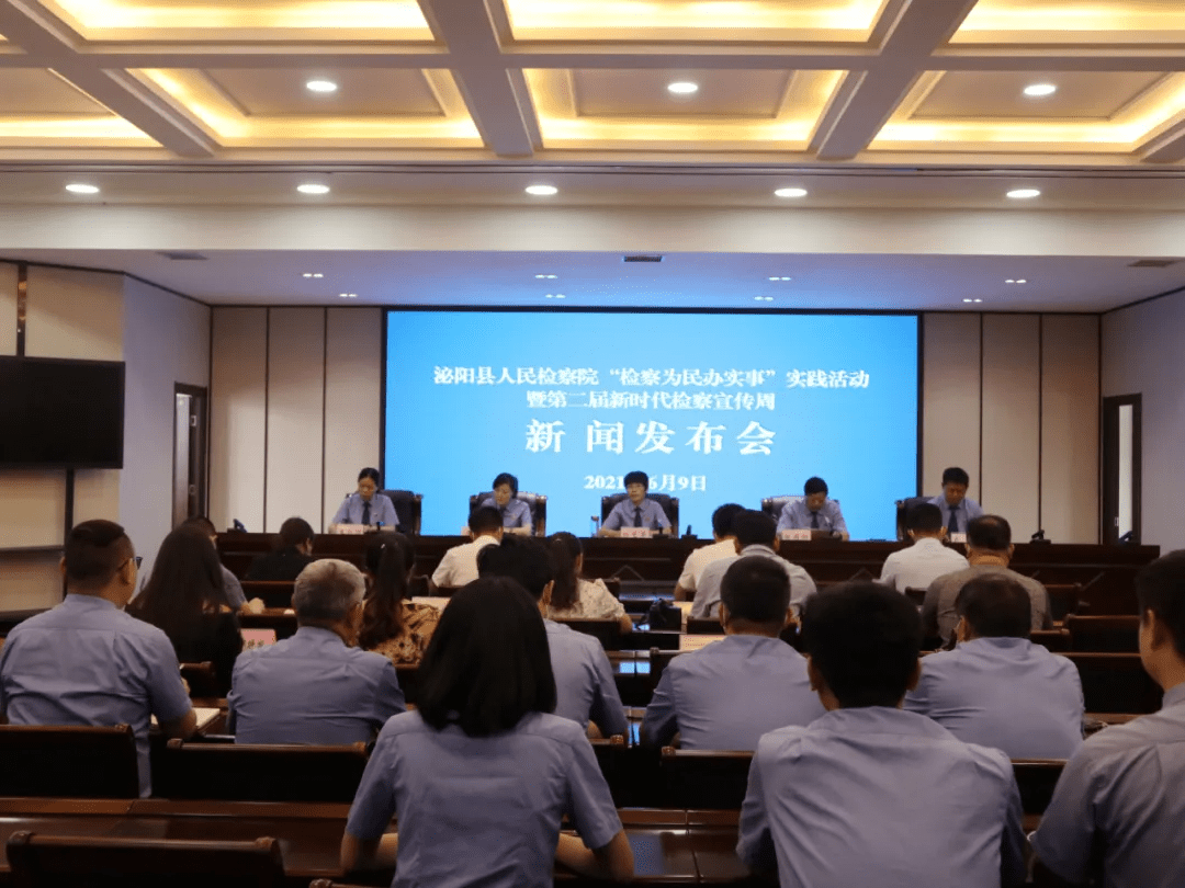 泌陽(yáng)新聞最新動(dòng)態(tài)，多元視角下的觀察與思考