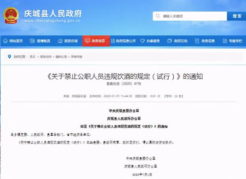 酒駕處罰2024最新標準詳解，步驟指南與更新概覽