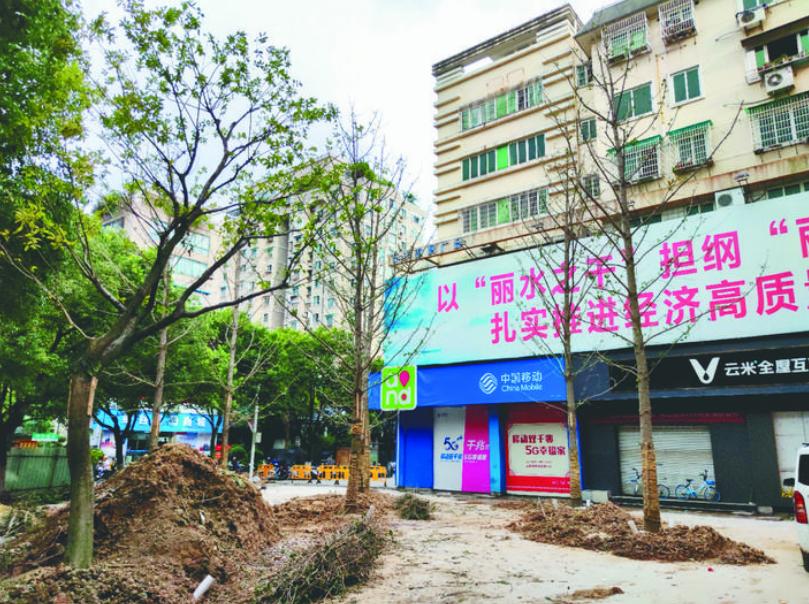 最新吊車網(wǎng)，自然美景之旅與內(nèi)心平靜的探尋