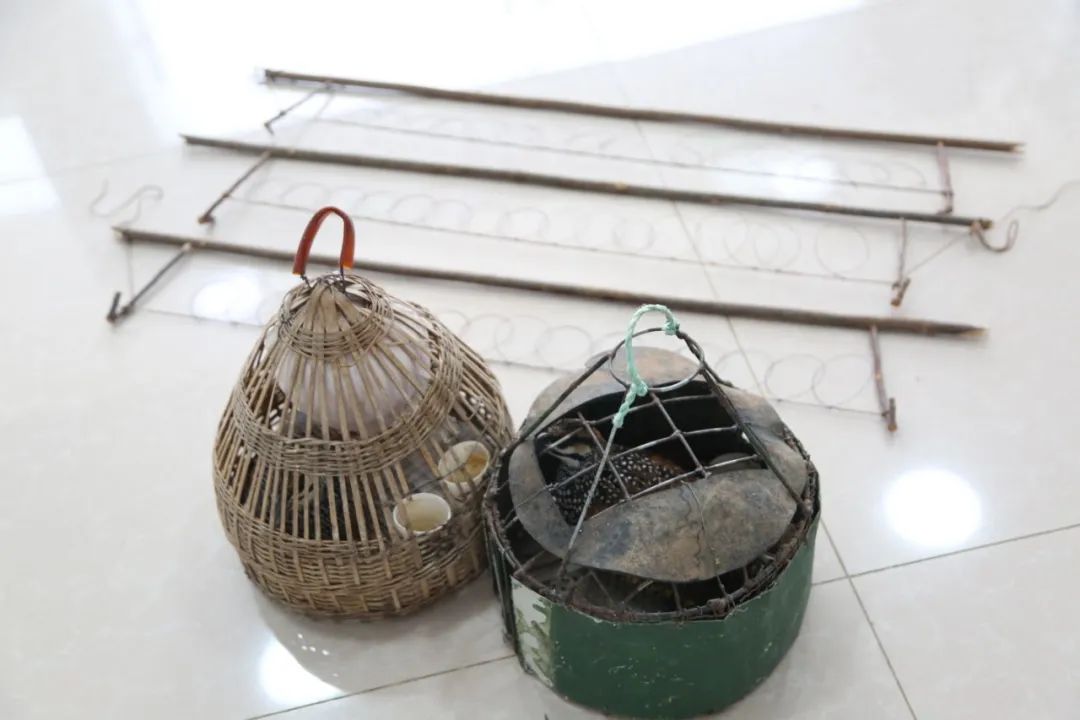 小巷中的神秘寶藏揭秘，最新捕鳥工具揭秘