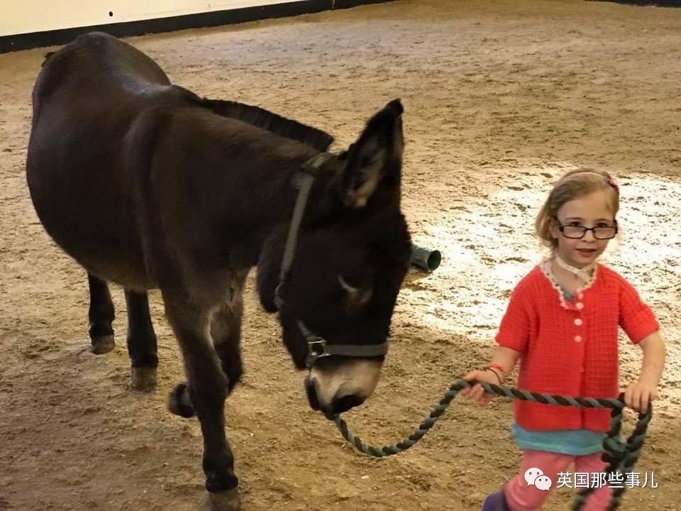 二驢子最新事件揭秘，事件全貌大揭秘！