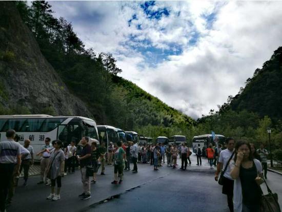 泰順高鐵最新動態(tài)更新，最新消息一覽