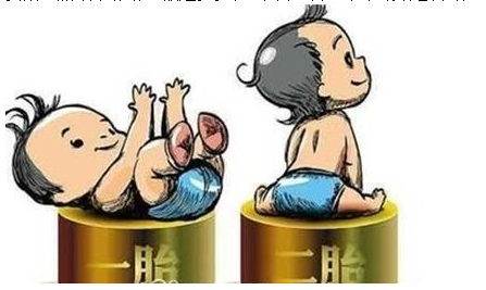 最新雙胞胎補助政策，攜手同行，助力孕育夢想之路