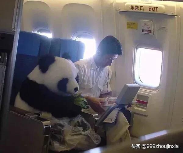 追逐變化之翼，學(xué)習(xí)鑄就自信與成就——虛幻最新探討