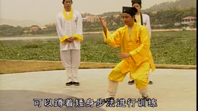 太極最新音樂，傳統(tǒng)與現(xiàn)代的完美融合藝術(shù)展現(xiàn)