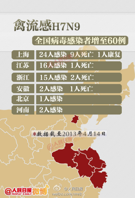 山東禽流感最新動(dòng)態(tài)，友情與陪伴的溫馨故事