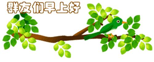 最新清晨祝福短信，晨曦中的溫暖問候，傳遞美好祝愿與關(guān)懷