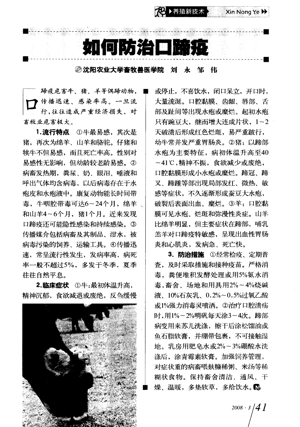 口蹄疫最新科研，自然探險(xiǎn)與內(nèi)心平和的追尋之旅