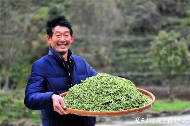 最新夷陵新聞，探索自然美景的旅程，尋覓內(nèi)心平和之地