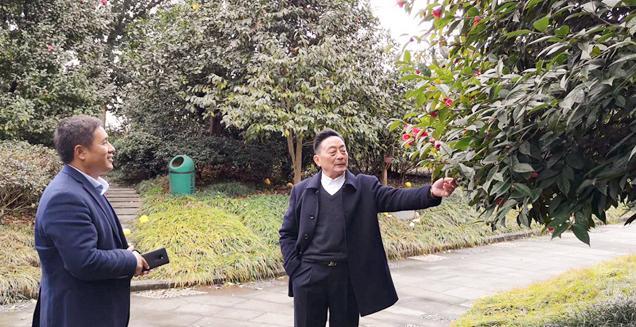最新花木求購，開啟一場尋綠之旅的溫馨旅程