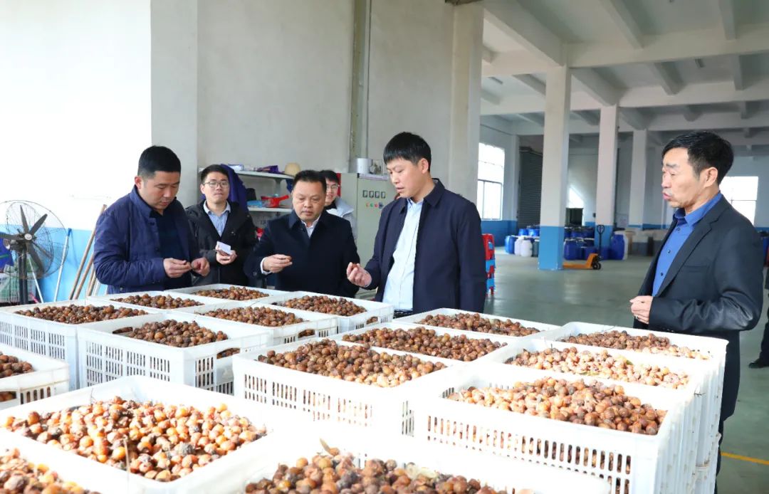 建寧最新新聞，城市溫馨日常與友情力量的展現(xiàn)