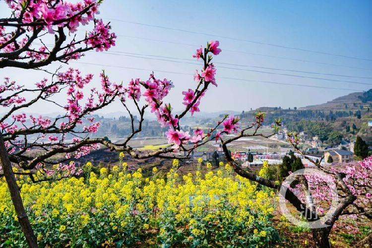 合川最新科技新聞，高科技產(chǎn)品引領(lǐng)未來生活潮流