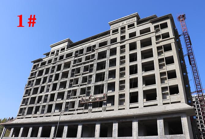 平輿最新樓盤市場現(xiàn)狀與前景展望，深度解析市場趨勢與發(fā)展前景展望