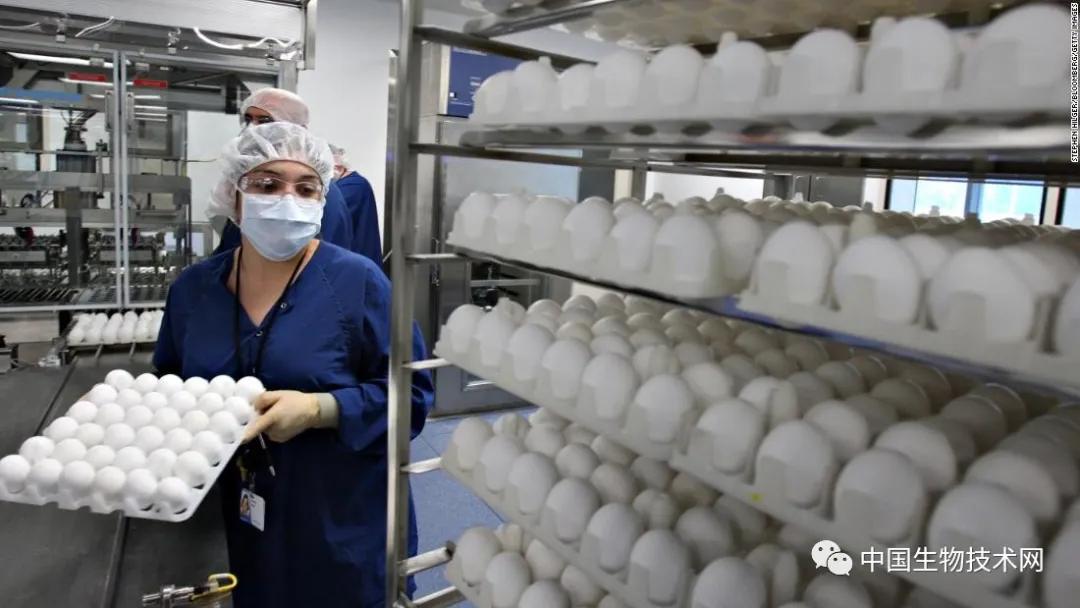 最新流感疫苗，科技助力健康新生活保護(hù)您免受流感侵襲