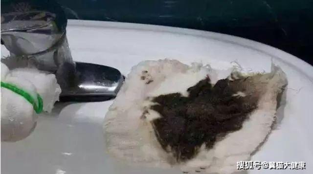 揭秘水污染真相，小杰的河流探索之旅——溫馨河流的秘密揭秘視頻
